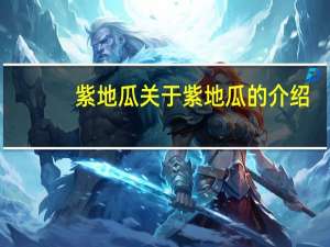 紫地瓜 关于紫地瓜的介绍