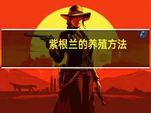 紫根兰的养殖方法