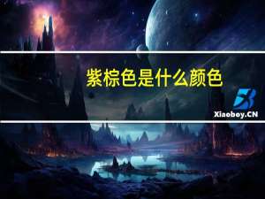 紫棕色是什么颜色