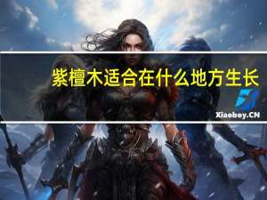 紫檀木适合在什么地方生长