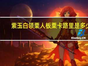 紫玉 白领栗人 板栗卡路里是多少
