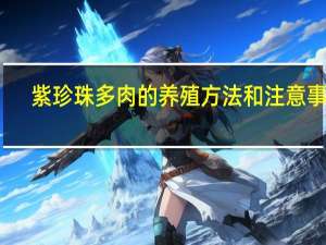 紫珍珠多肉的养殖方法和注意事项