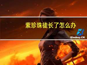 紫珍珠徒长了怎么办
