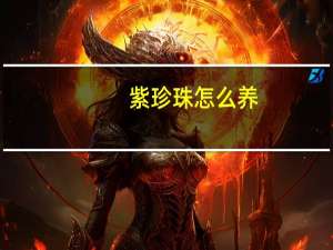 紫珍珠怎么养