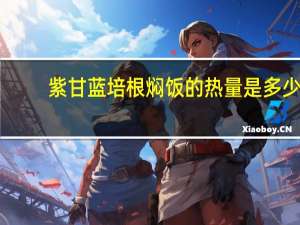 紫甘蓝培根焖饭的热量是多少