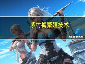 紫竹梅繁殖技术：紫竹梅的主要繁殖方式为扦插和分株