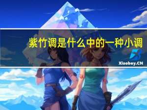 紫竹调是什么中的一种小调