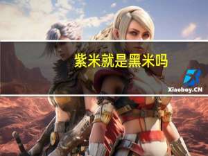 紫米就是黑米吗