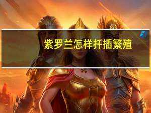 紫罗兰怎样扦插繁殖