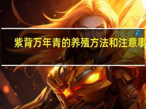 紫背万年青的养殖方法和注意事项