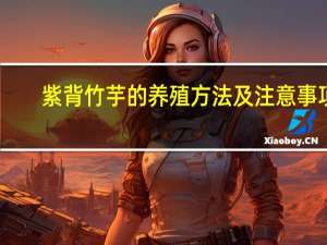 紫背竹芋的养殖方法及注意事项：喜湿润的生长环境