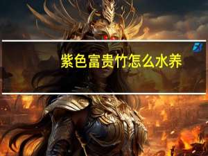 紫色富贵竹怎么水养