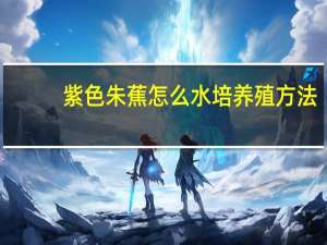 紫色朱蕉怎么水培养殖方法