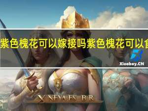 紫色槐花可以嫁接吗 紫色槐花可以食用吗