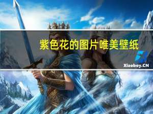 紫色花的图片唯美壁纸（紫色花的图片）