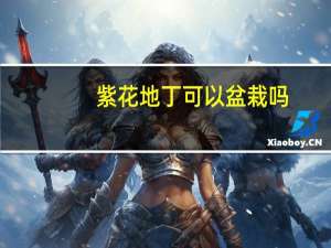 紫花地丁可以盆栽吗