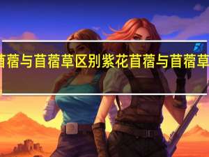 紫花苜蓿与苜蓿草区别 紫花苜蓿与苜蓿草区别是什么