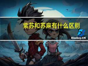 紫苏和苏麻有什么区别