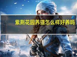 紫荆花园养猫怎么样好养吗