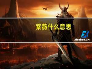紫薇什么意思