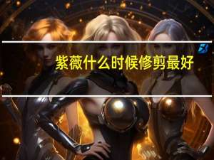 紫薇什么时候修剪最好