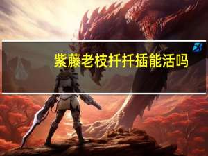 紫藤老枝扦扦插能活吗