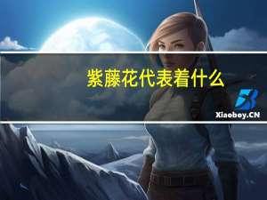 紫藤花代表着什么