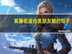 紫藤花适合发朋友圈的句子