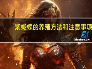 紫蝴蝶的养殖方法和注意事项