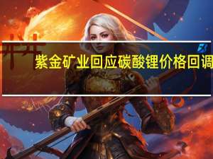 紫金矿业回应碳酸锂价格回调：意料之中 预计还有下跌空间