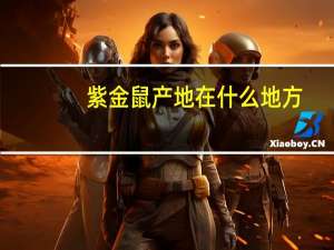 紫金鼠产地在什么地方
