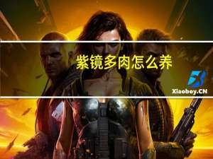 紫镜多肉怎么养