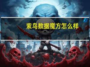 紫鸟数据魔方怎么样（紫鸟数据）