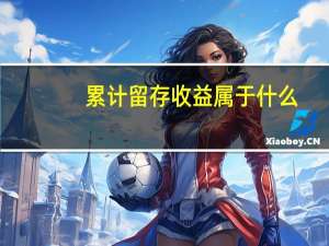 累计留存收益属于什么