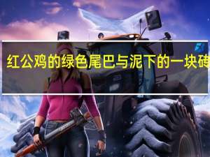 红公鸡的绿色尾巴与泥下的一块砖之谜