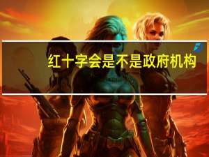 红十字会是不是政府机构（红十字会属于什么机构）