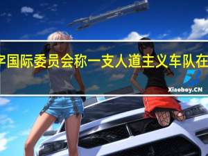 红十字国际委员会称一支人道主义车队在加沙城遭袭