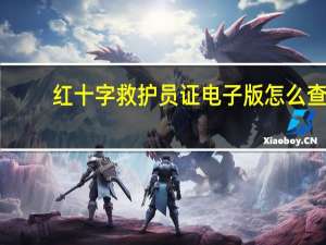红十字救护员证电子版怎么查