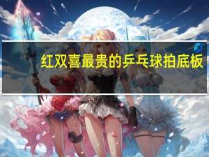 红双喜最贵的乒乓球拍底板