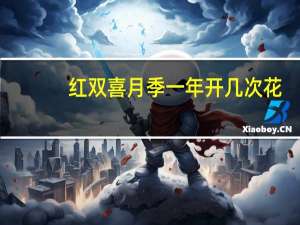 红双喜月季一年开几次花