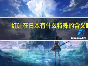 红叶在日本有什么特殊的含义吗