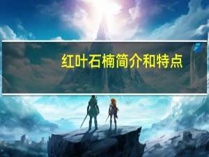 红叶石楠简介和特点（红叶石楠简介）