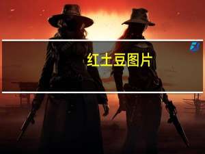 红土豆图片（红土豆）