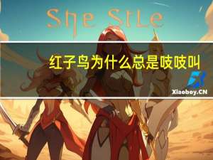 红子鸟为什么总是吱吱叫