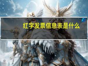 红字发票信息表是什么