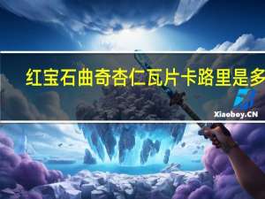 红宝石曲奇杏仁瓦片卡路里是多少