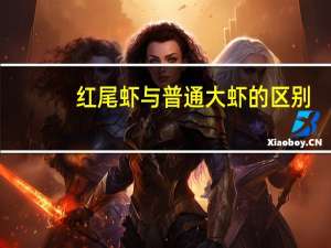 红尾虾与普通大虾的区别