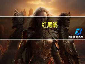 红尾 鸲（红尾护头鲿简介）