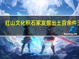 红山文化积石冢发掘出土百余件玉器