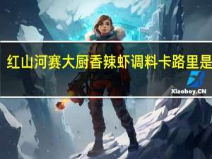 红山河 赛大厨 香辣虾调料卡路里是多少